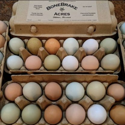 Picture of 1 Dozen Large Eggs