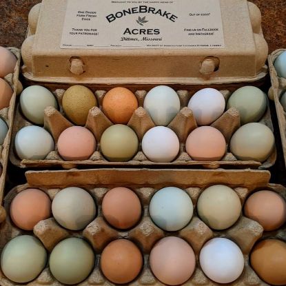 Picture of 1 Dozen Medium Eggs